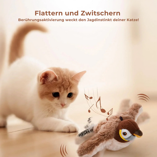 TweetBuddy: Katzenspaß für Zuhause